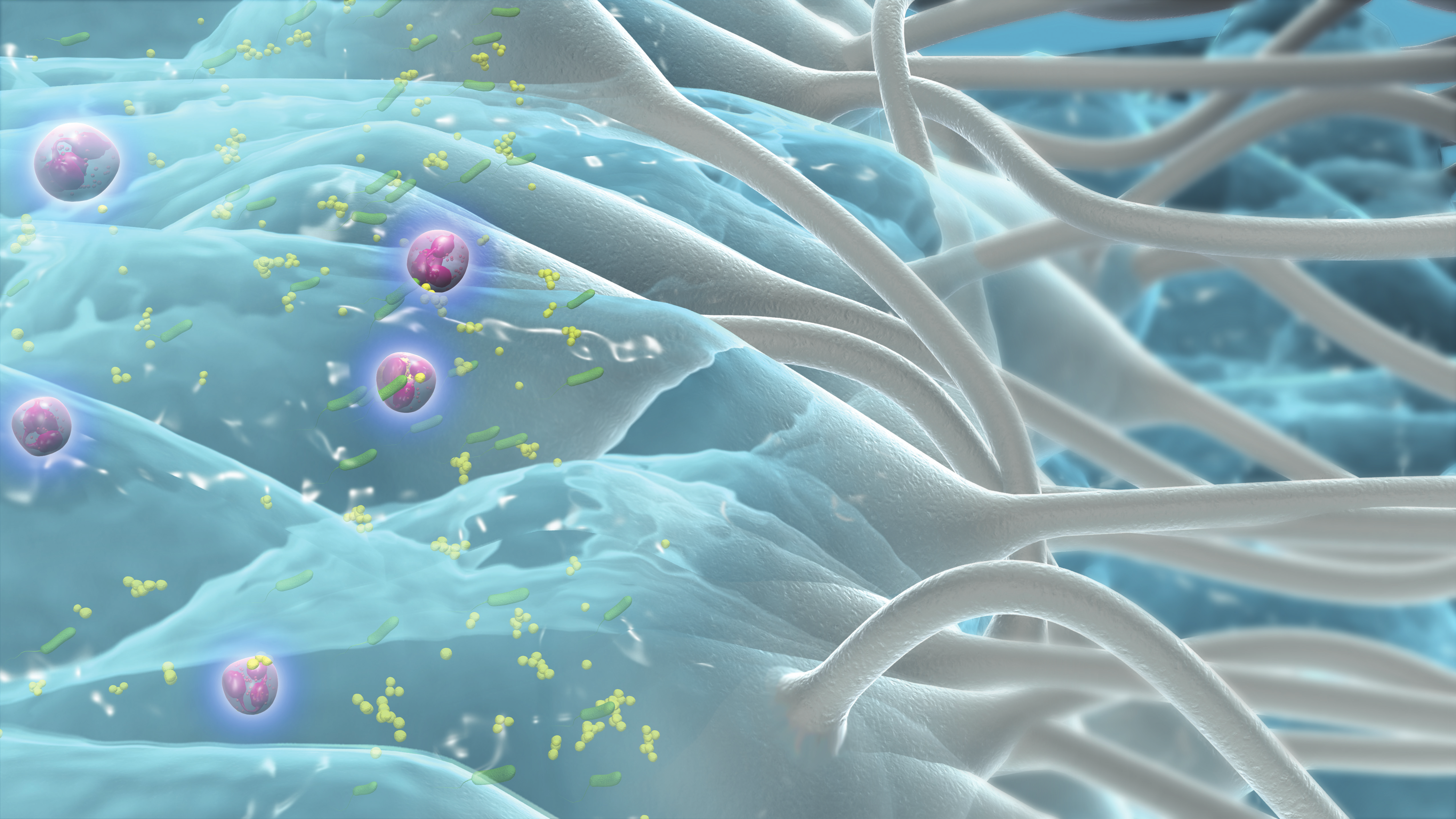 a drawing of a close-up of bacteria