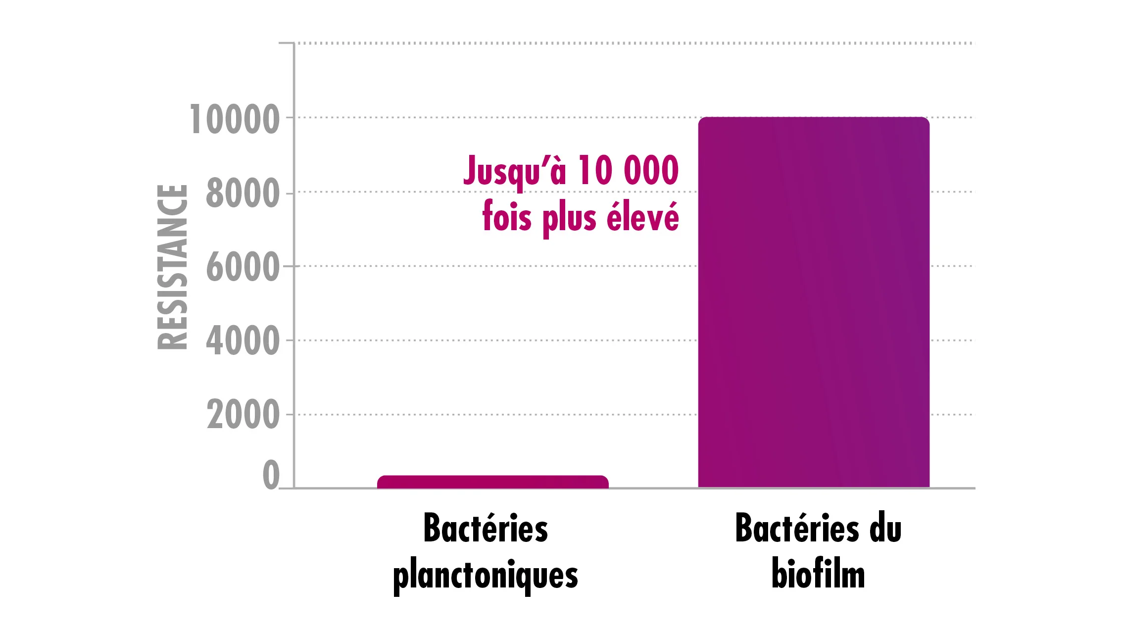 graphique