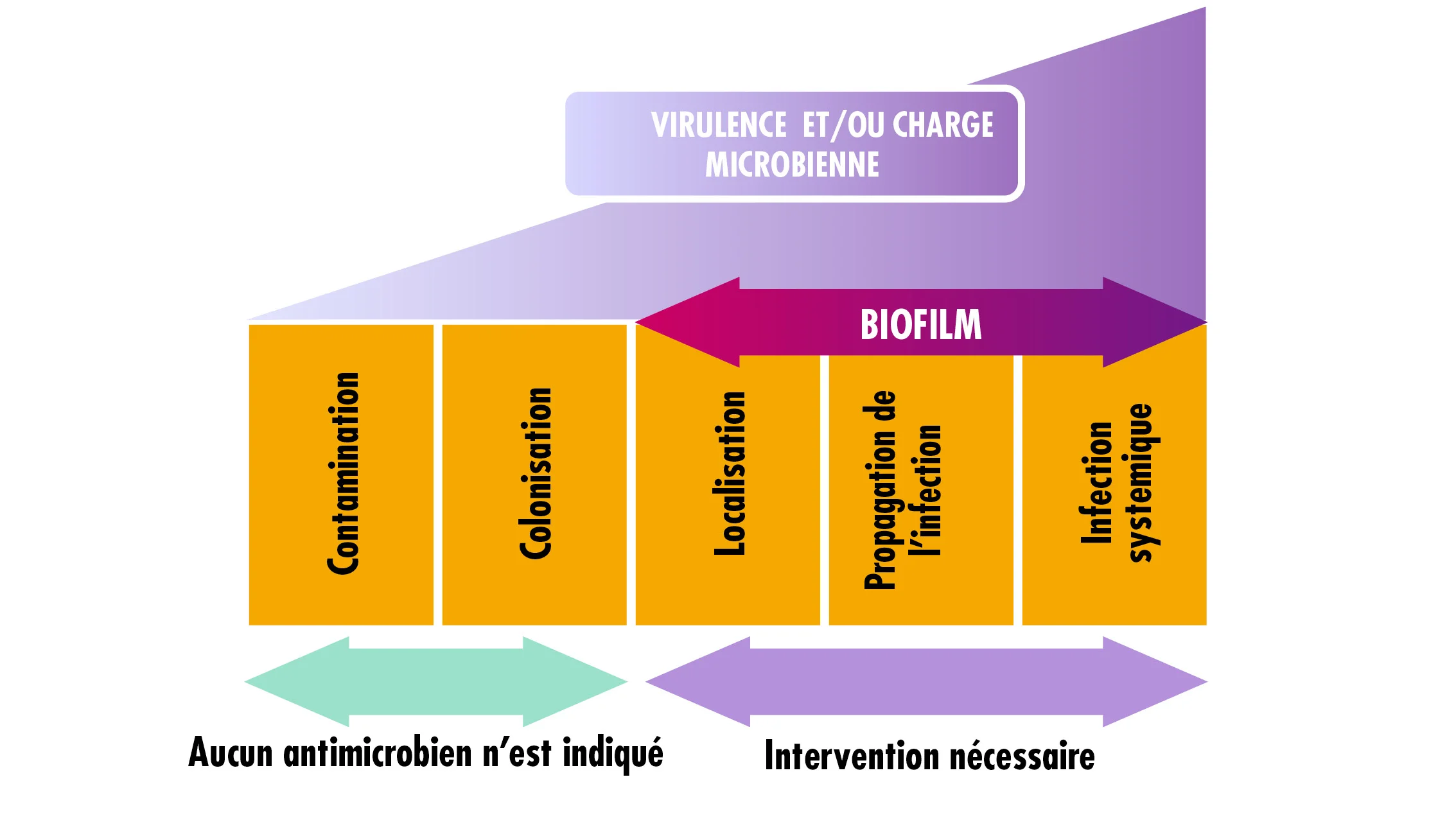 diagramme, schéma