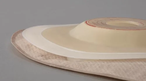 a plate with a design on it